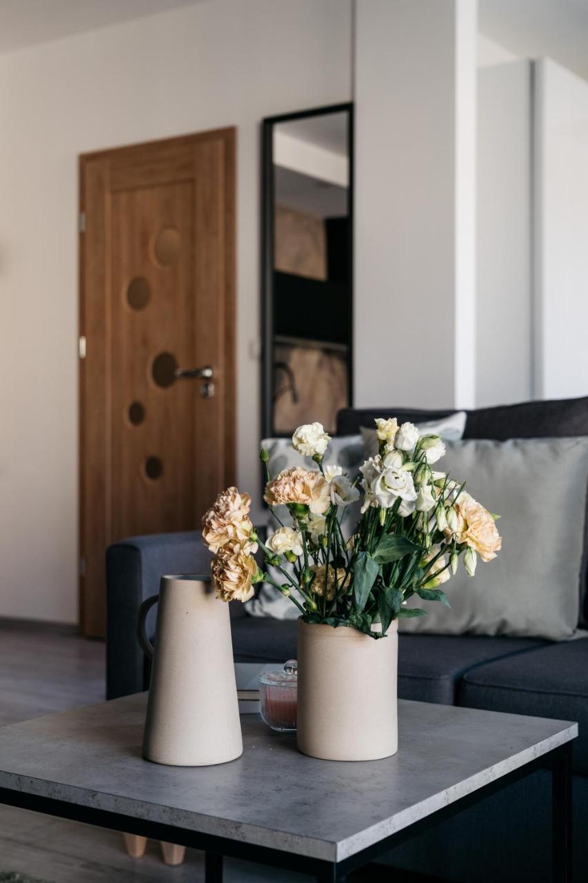 Vistula Apartment - Loftaffair Krasków Εξωτερικό φωτογραφία